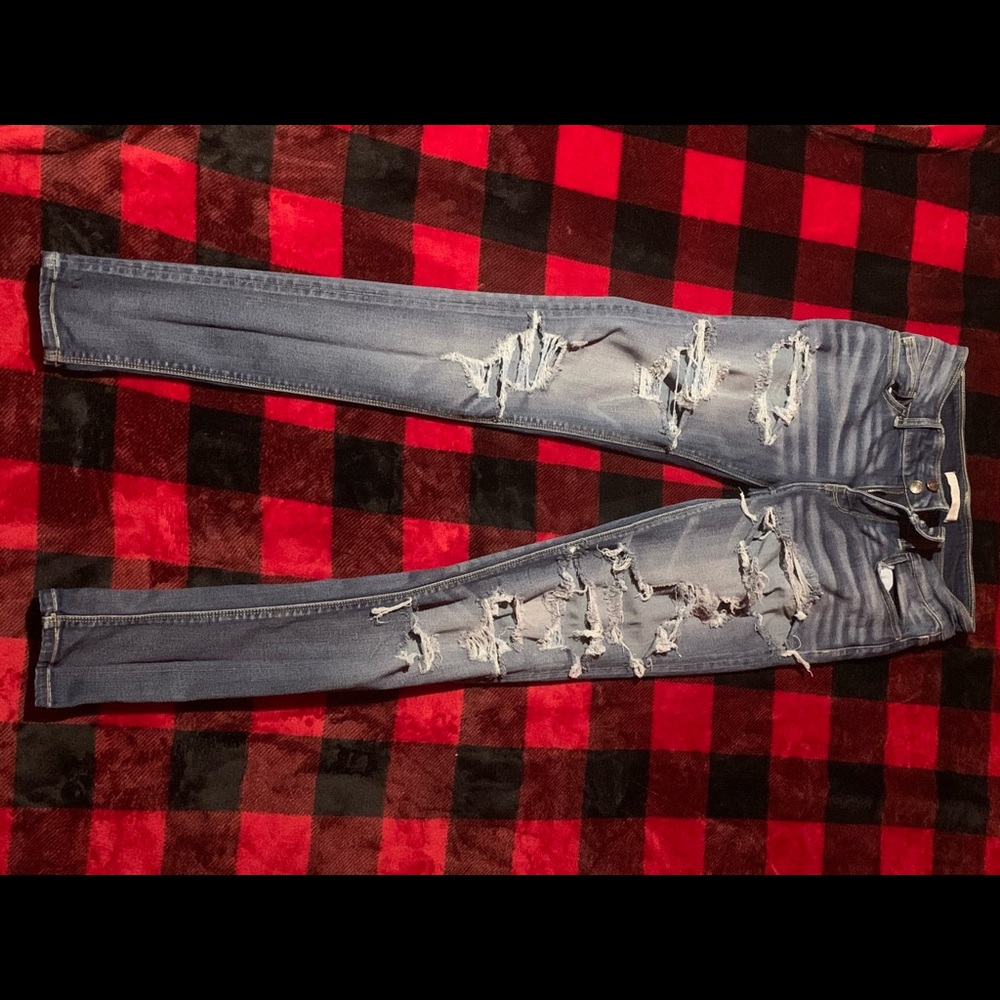Daytrip Lynx Skinny Jeans